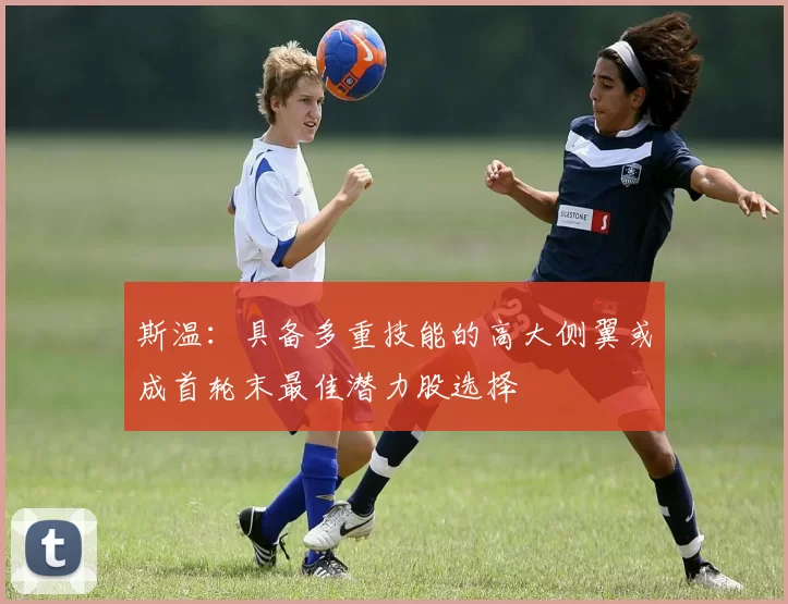 斯温：具备多重技能的高大侧翼或成首轮末最佳潜力股选择