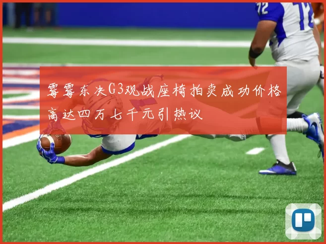 霉霉东决G3观战座椅拍卖成功价格高达四万七千元引热议