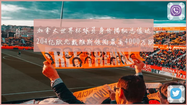 加拿大世界杯球员身价揭秘总值达204亿欧元戴维斯领衔最高4000万欧